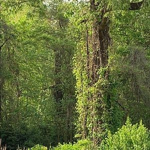 Meet your Posher, Regina